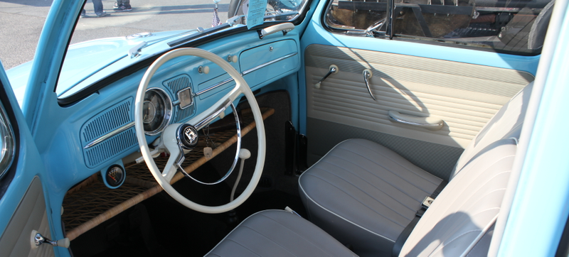 Perhaps the world’s most perfect Beetle. Photo credit: Stef Schrader